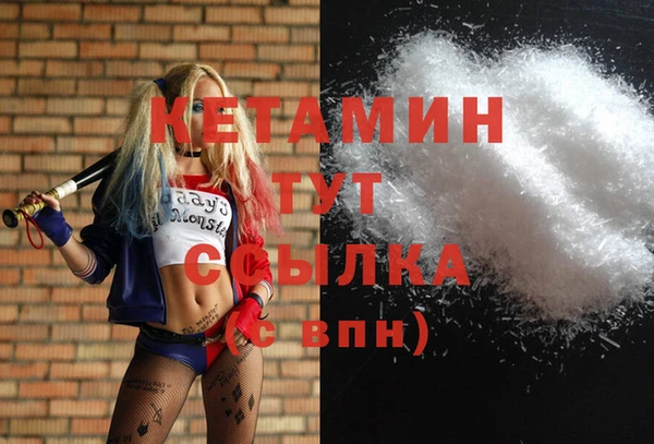 соль ск Богородицк