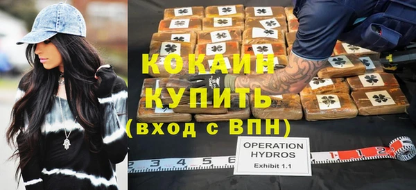 винт Ельня