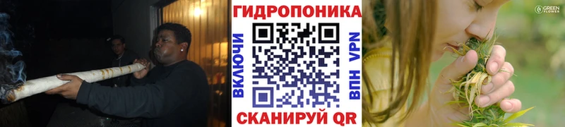 Марихуана гибрид  KRAKEN tor  Кстово 